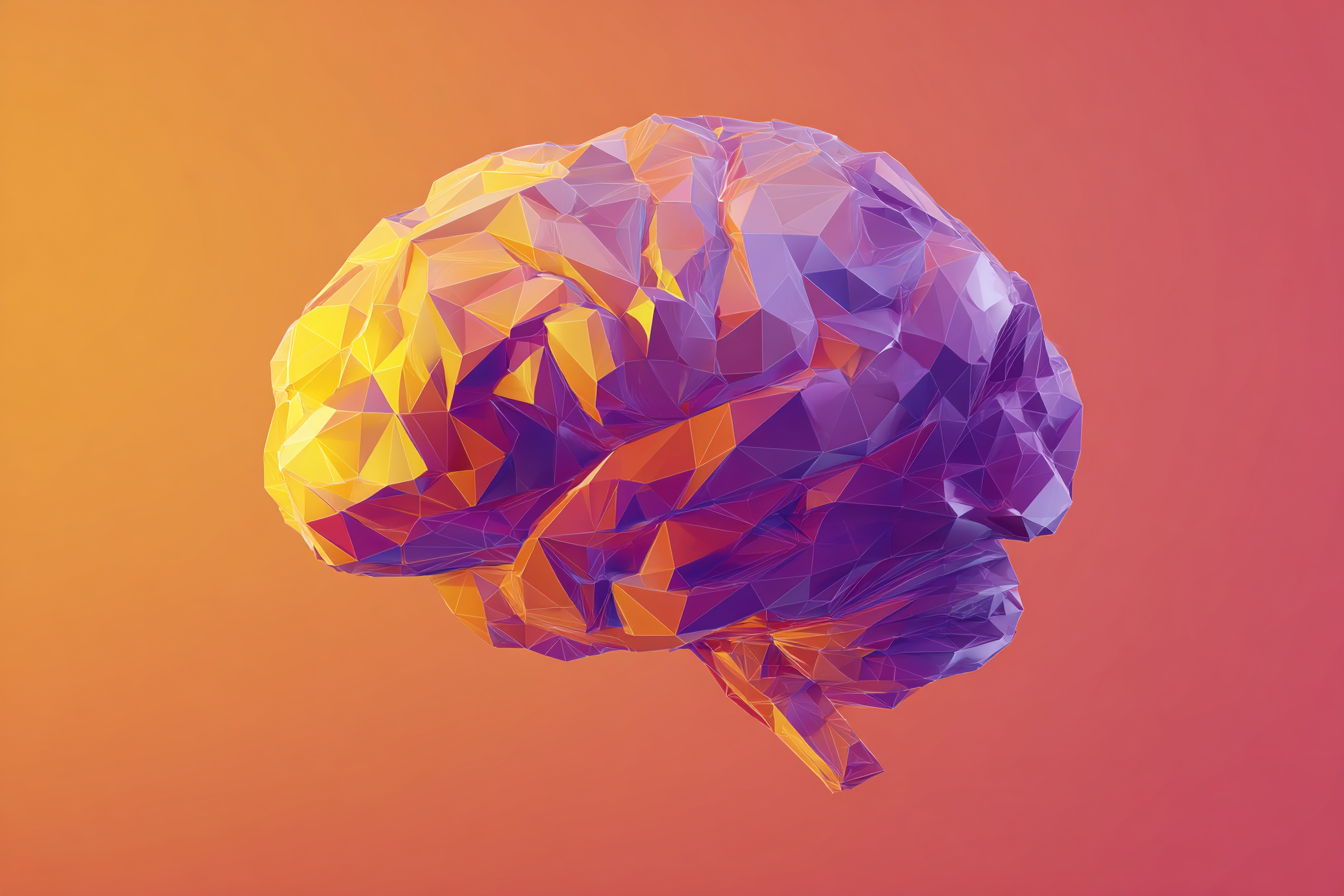 Illustration of a human brain